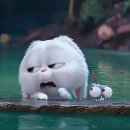 Snowball random 🐰