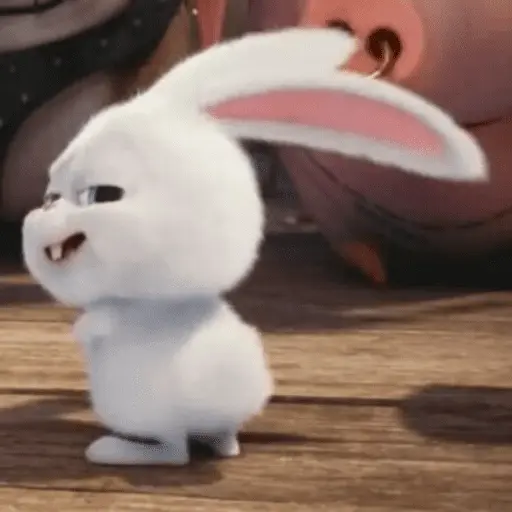 Snowball random 🐰
