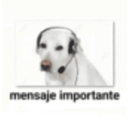 memes estúpidos pt2