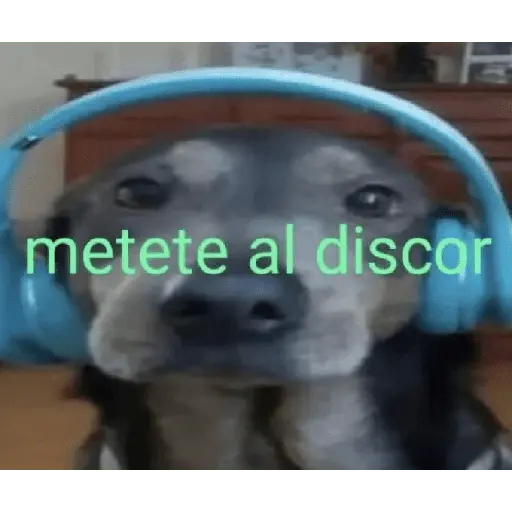 memes estúpidos pt2