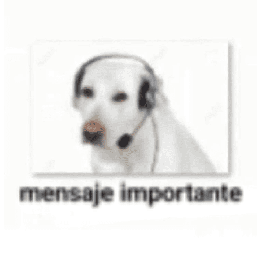 memes estúpidos pt2 preview