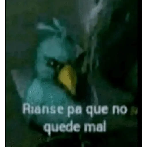 memes estúpidos pt2