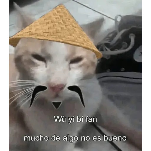 memes estúpidos pt2