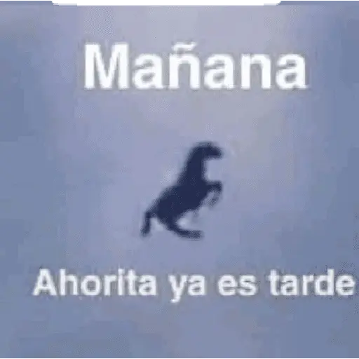 memes estúpidos pt2