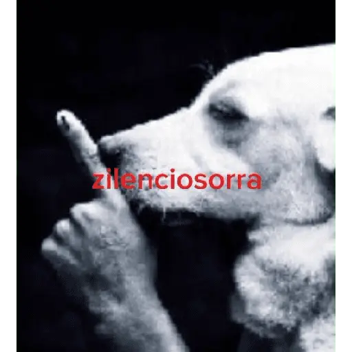 memes estúpidos pt2