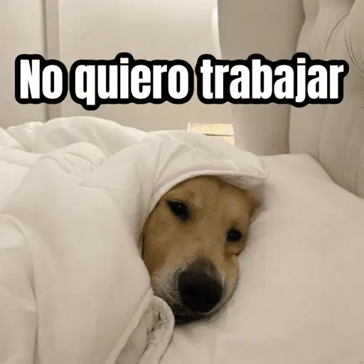 Lunes, no quiero trabajar 😭