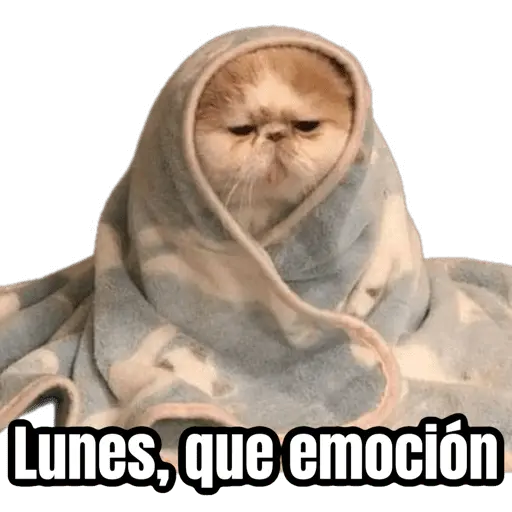 Lunes, no quiero trabajar 😭