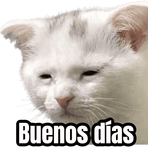 Lunes, no quiero trabajar 😭 preview