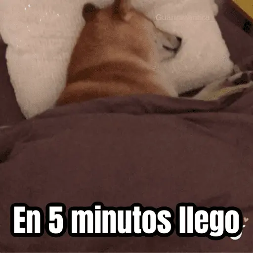 Lunes, no quiero trabajar 😭
