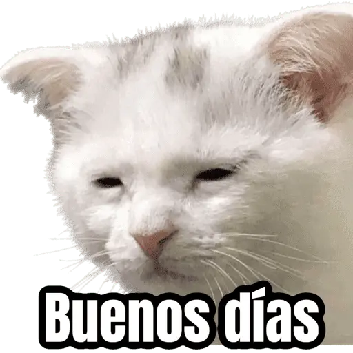 Lunes, no quiero trabajar 😭