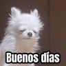 Lunes, no quiero trabajar 😭