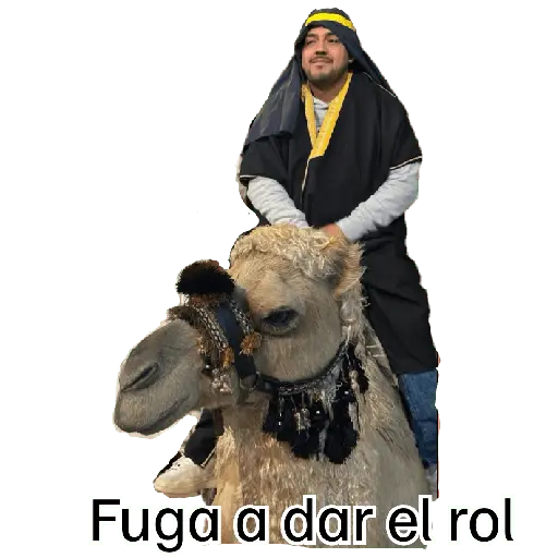 jajajaja 