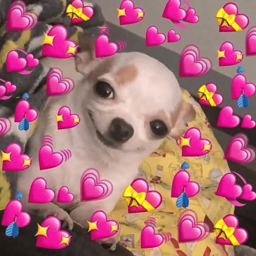 💕 PERROS Y GATITOS AMOROSOS 💕 preview