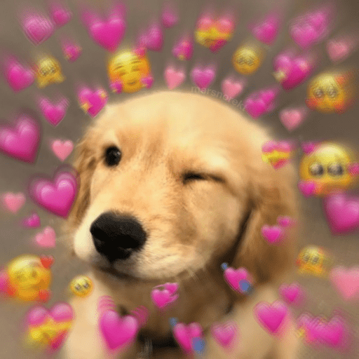 💕 PERROS Y GATITOS AMOROSOS 💕 preview