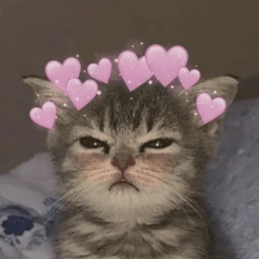 💕 PERROS Y GATITOS AMOROSOS 💕