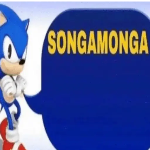 what is shit