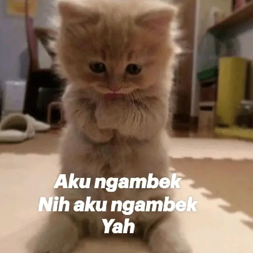 Meme Ngambek