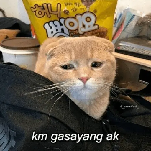 Meme Ngambek