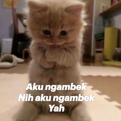 Meme Ngambek preview