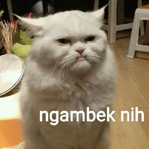 Meme Ngambek