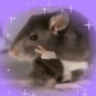 🌈🐀✨️Ratitas Mood Graciosas✨️🐀🌈