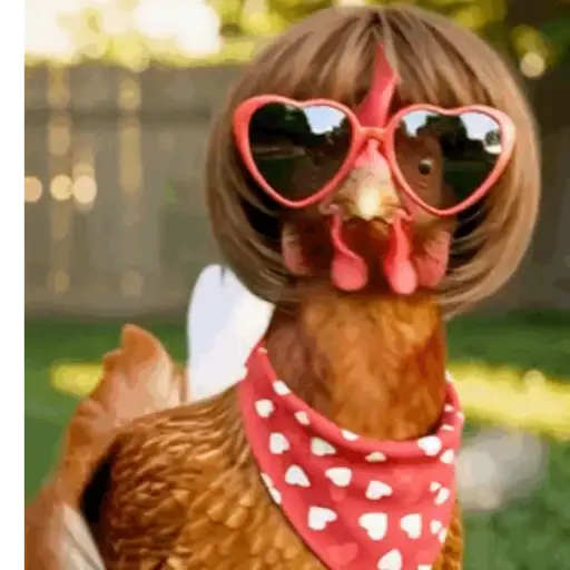 Dance,Gallinas virales TikTok🐔