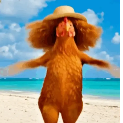 Dance,Gallinas virales TikTok🐔