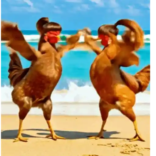 Dance,Gallinas virales TikTok🐔 preview