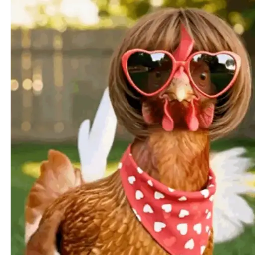 Dance,Gallinas virales TikTok🐔 preview