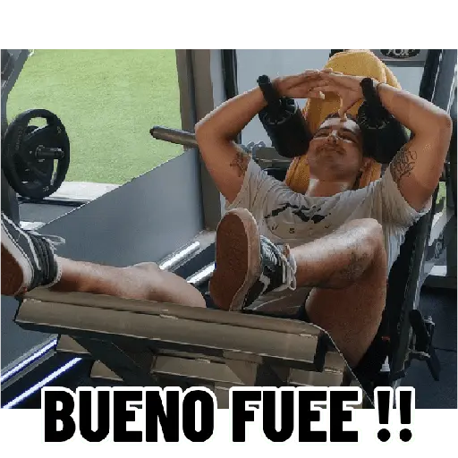 Nuevos 