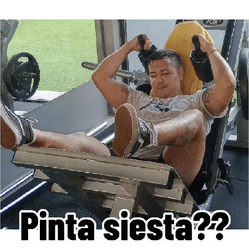 Nuevos 