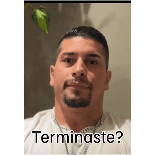 Nuevos 