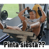 Nuevos 