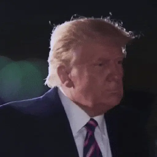 Donald Trump 🇺🇲