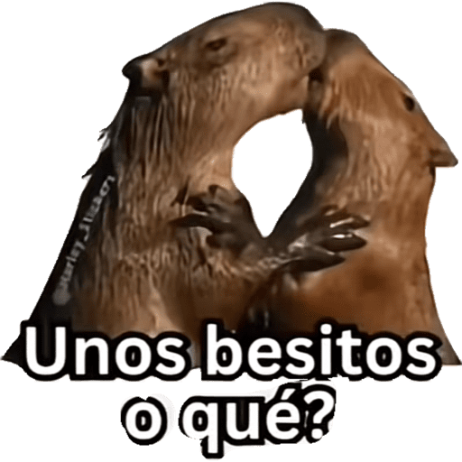 Capibara preview