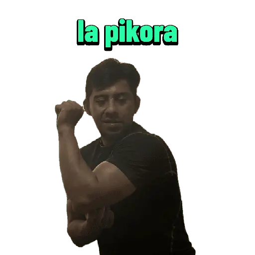 creador de sticker del whatsap