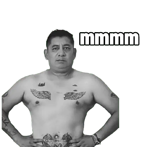 creador de sticker del whatsap