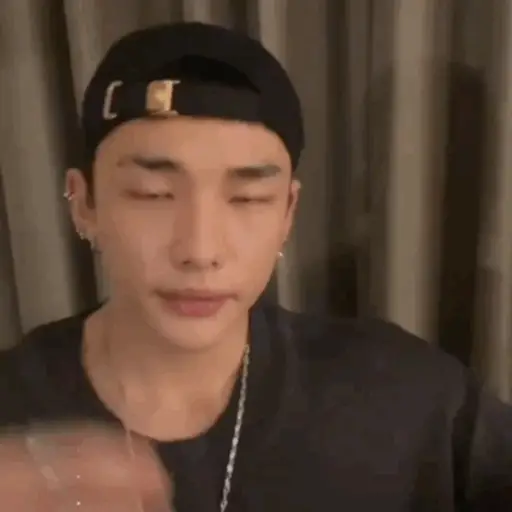 Stray kids memes