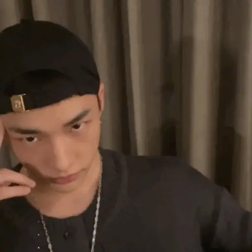 Stray kids memes preview