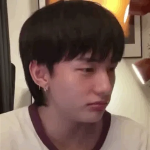 Stray kids memes