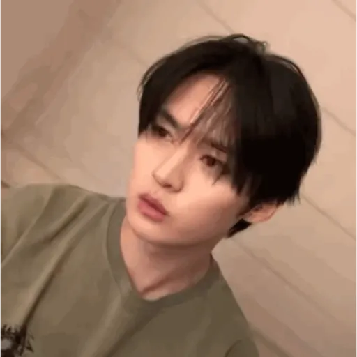 Stray kids memes