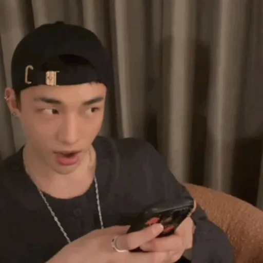 Stray kids memes preview