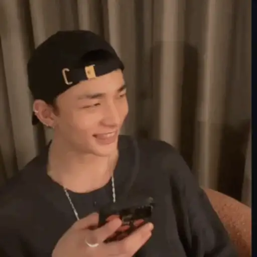 Stray kids memes