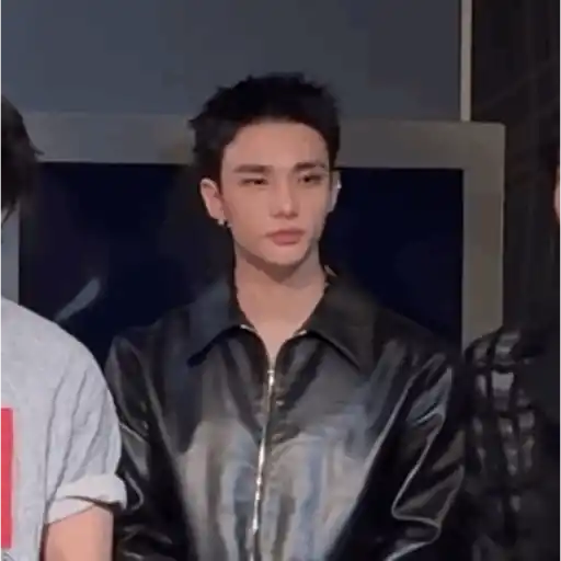 Stray kids memes