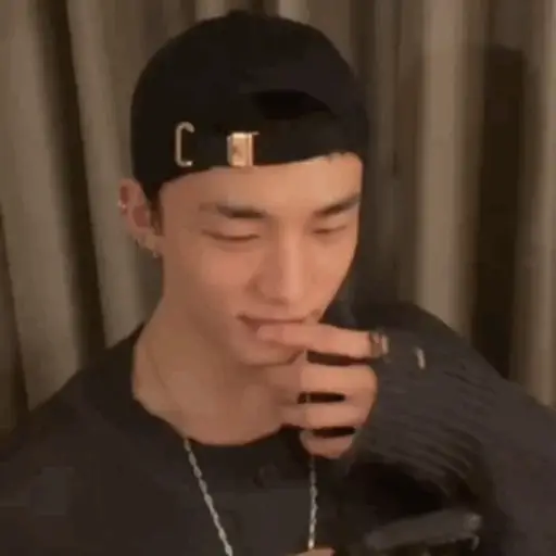Stray kids memes