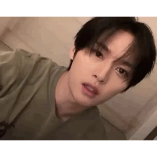 Stray kids memes