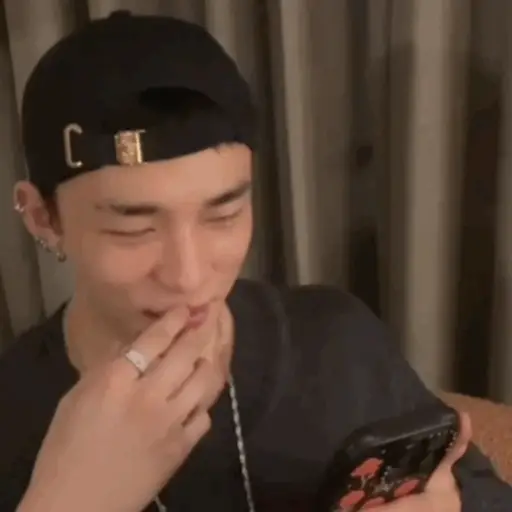 Stray kids memes