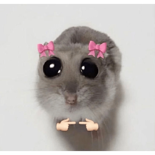 funny memes preview