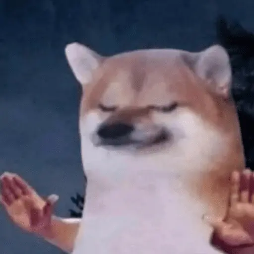 😎 STICKERS SHITPOST 24 🤙