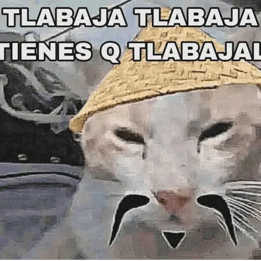 😎 STICKERS SHITPOST 24 🤙